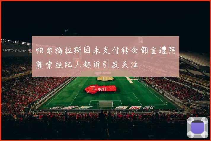 帕尔梅拉斯因未支付转会佣金遭阿隆索经纪人起诉引发关注