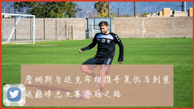 詹姆斯与迈克布朗携手复仇马刺重返巅峰总决赛夺冠之路